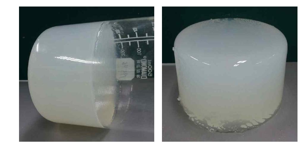 40℃ 물중탕으로 제조된 알지네이트 하이드로겔 벌크