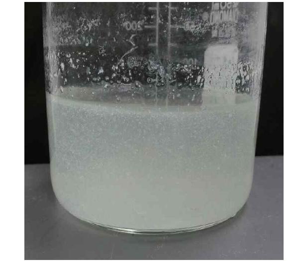 30℃ 물중탕을 한 알지네이트 수용액