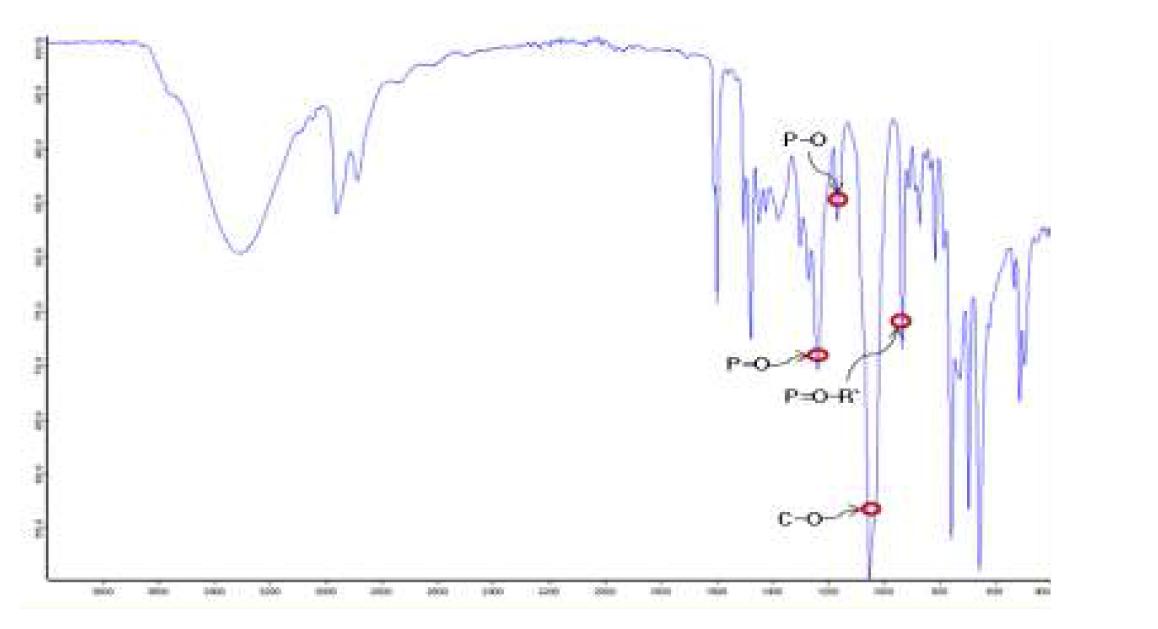 Bis(3-(3-hydorxypropoxy) propyl) phenylphosphate의 FT-IR