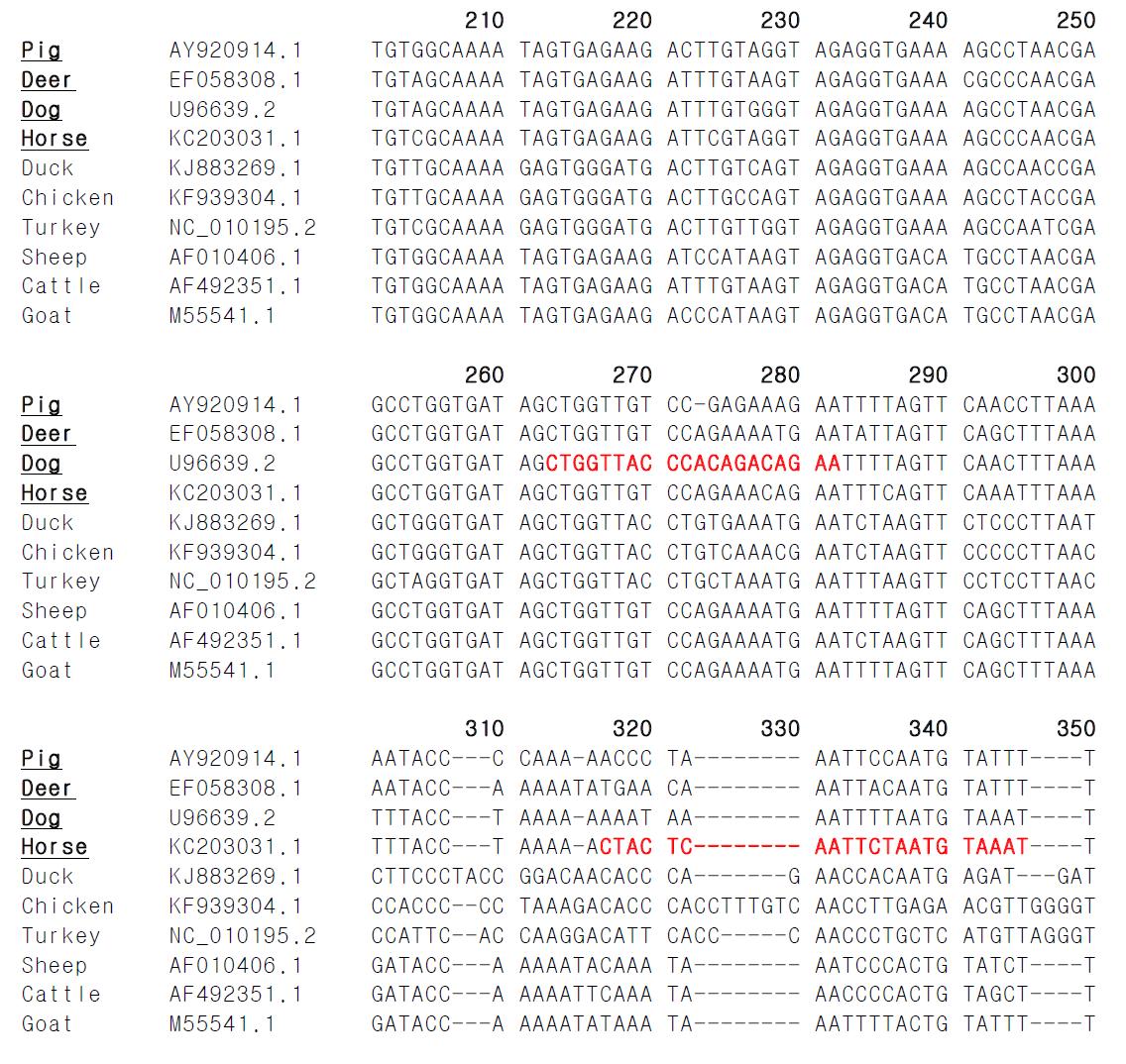 대상종 돼지, 사슴, 개, 말의 16S rRNA 염기중 마커의 위치(VIC)