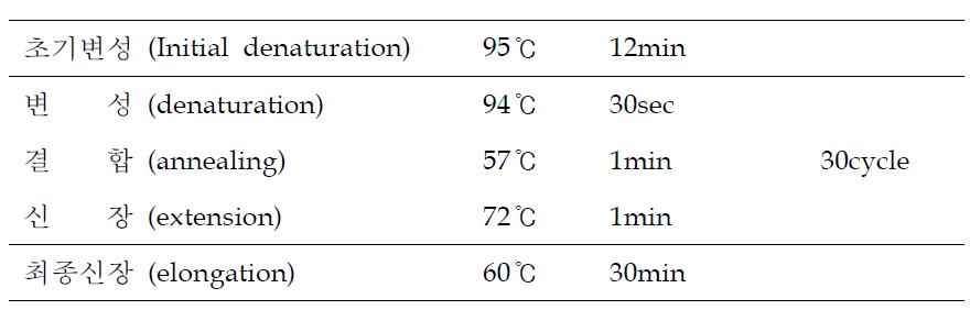 PCR 반응 조건