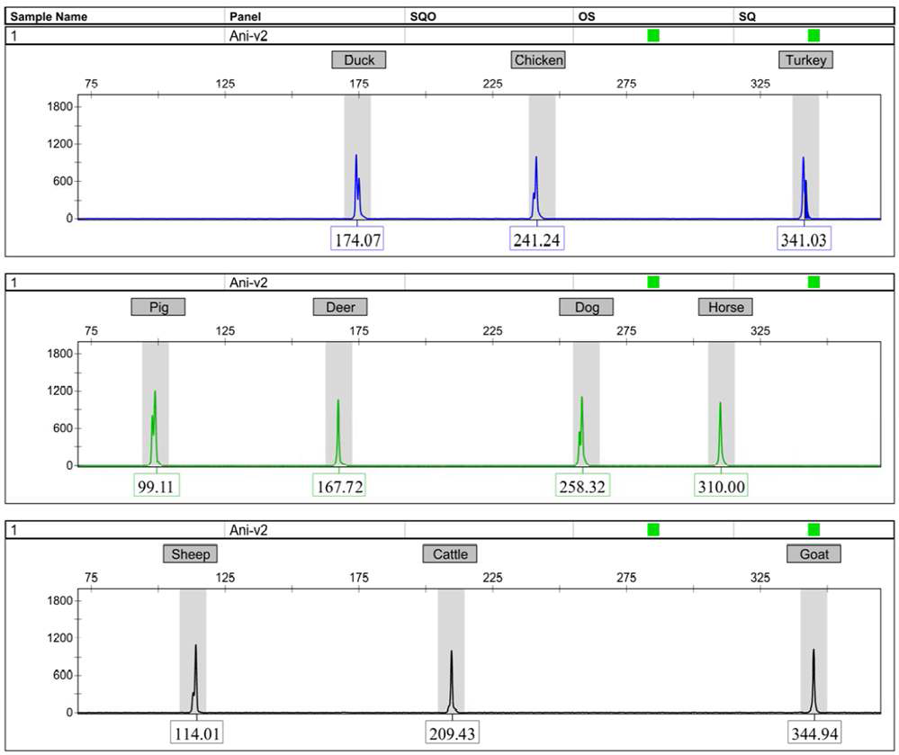 Genotyping을 통한 multiplex의 확인