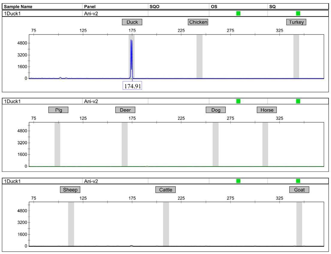 multiplex PCR을 통한 오리마커의 Genotyping검증