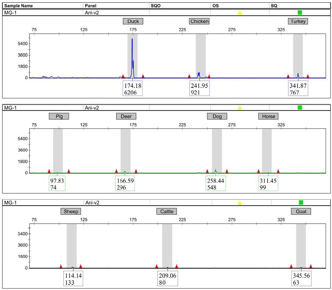 buffer test - MgCl 1mM