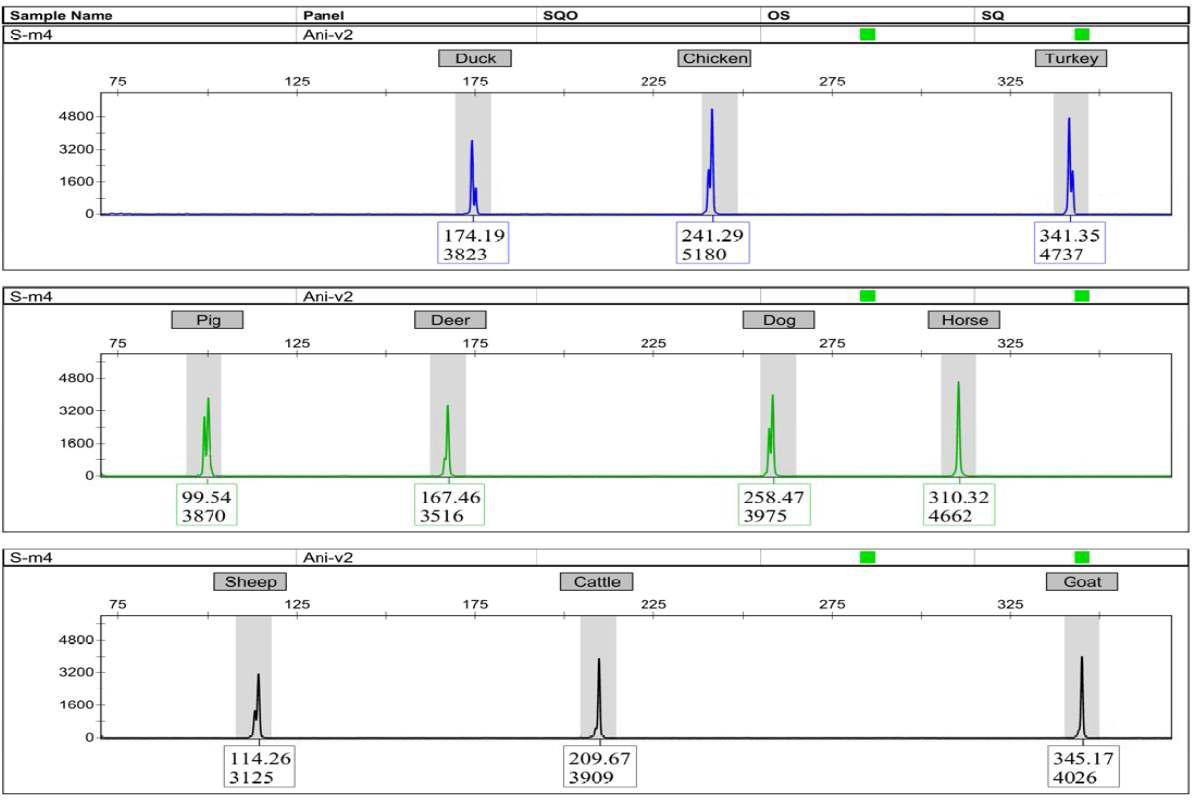 혼합시료 4를 통한 식육 종 판별 다중 증폭키트의 안정성 검증