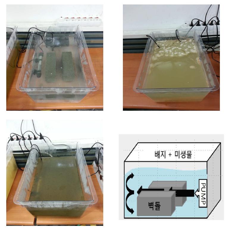 블록 양생 및 미생물 흡착원리