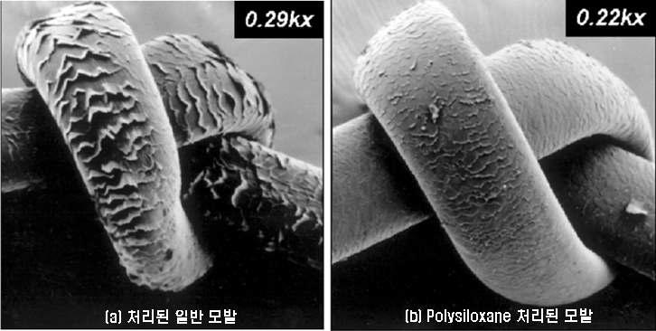 헤어드라이어 처리 된 일반 모발과 Polysiloxane 공중합체를 처리한 모발의 형상