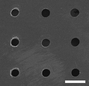 Scanner를 통해 355nm UV Laser가공실험을 진행한 Sample의 SEM 사진(Scale bar : 100μm).