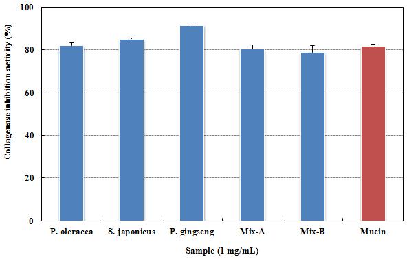 Collagenase inhibition activity of Portulaca oleracea, Panax gingseng, Sjaponicus japonicus and mixture(A: 1 mg/mL Portulaca oleracea + 1 mg/mL Panax gingseng + 1 mg/mL Sjaponicus japonicus, B: 1 mg/mL Portulaca oleracea + 0.1 mg/mL Panax gingseng + 1 mg/mL Sjaponicus japonicus) extracts.