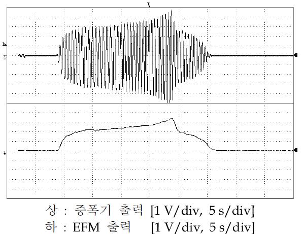 EFM의 출력 파형