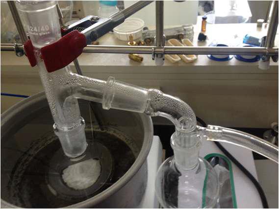 Test tube를 이용하여 제작된 PDO 중합물 진공건조 (건조온도 80℃, 24시간)