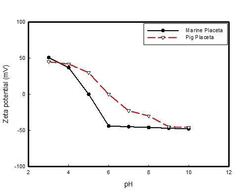 연어난소막 마린 플라센터의 pH 변화에 따른 등전점 측정