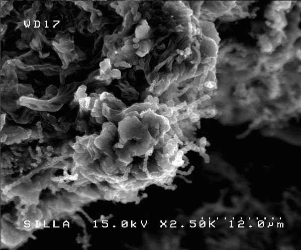 탄소 나노코일과 PU 복합체 형성후 시트 단면 전자 현미경 사진