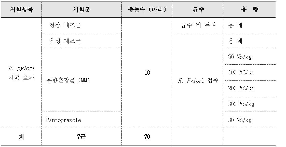 동물실험 시험군 구성