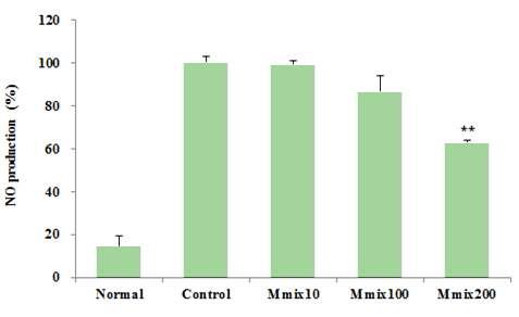 NO production rate of Mmix