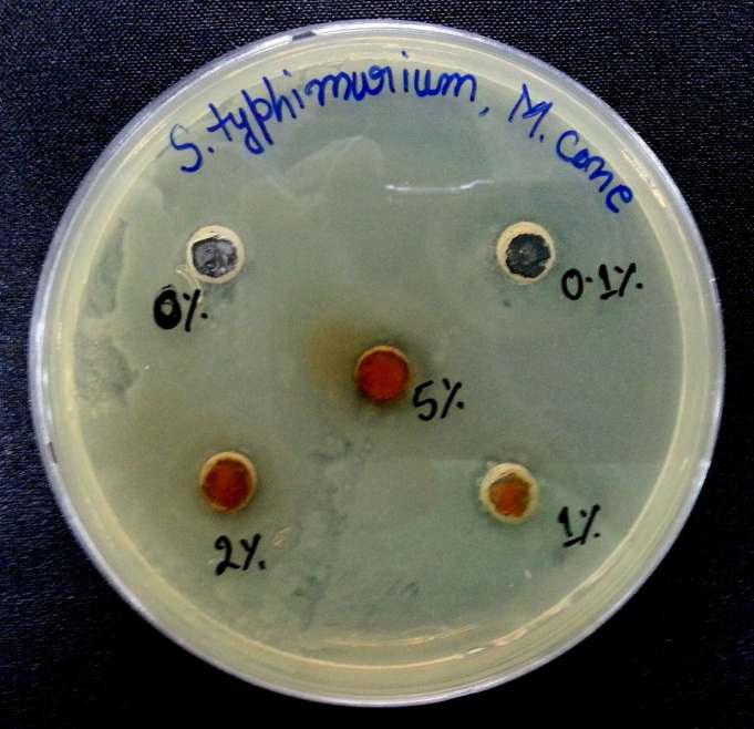 Agar diffusion assay to determine the antimicrobial efficacy of Metasequoia cone extracts (0, 0.1, 1, 2 and 5%) against Salmonella typhimurium KCTC 2515.