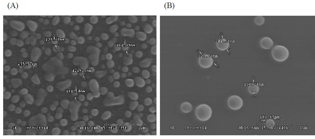 Scanning electron microscope (SEM) image of PE films coated with (A) leaf extract, (B) cone extract of Metasequoia glyptostroboides showing the nano-particle size.