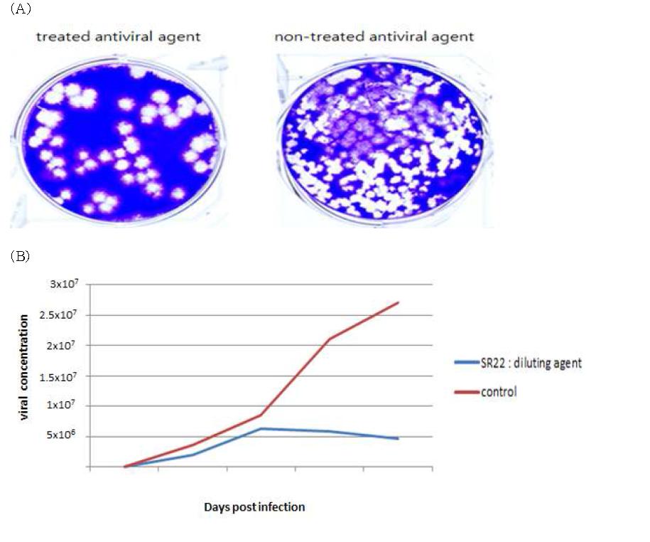 Suppression of VHSV in EPC cells treated with antiviral agent (10 ug/ml) or non-treated.