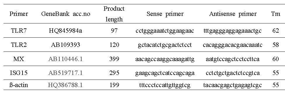 Primers used in this study.