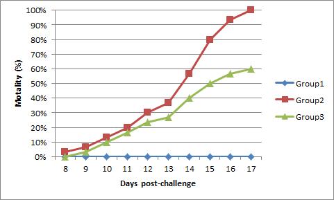 Cumulative mortality of olive flounder groups of different conditions. Refer Table. 2-2 challenge schedules for each group.