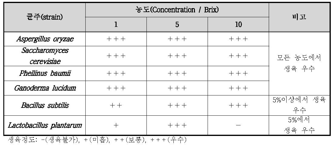 황칠추출액 농도에 따른 균 생육정도