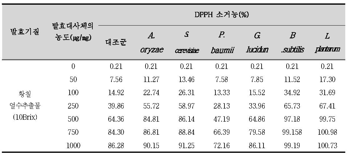 액체발효 황칠발효대사체의 항산화 활성(DPPH 소거능)