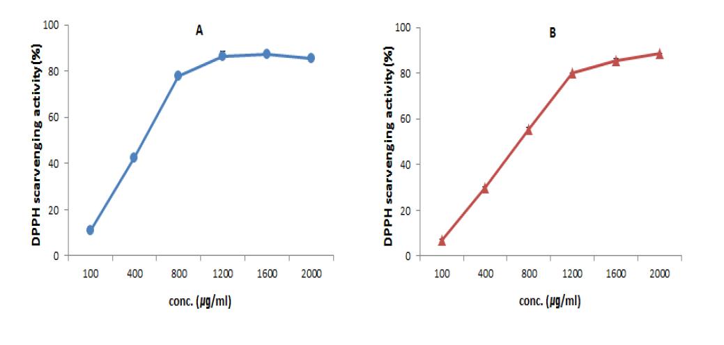 DPPH scavenging activity (%) of water extract(A) and fermentative Metabolites(B) from Dendropanax morbifera on the concentration in the range of 100-2000㎍/㎖.