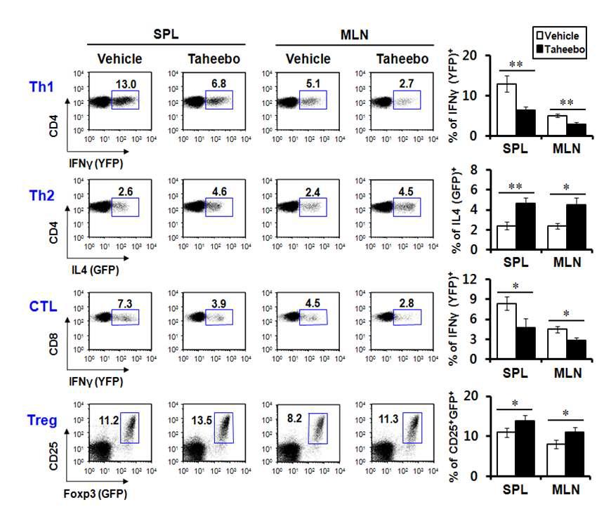 타히보 추출물에 의한 CD4 T 세포와 CD8 T 세포에서의 사이토카인 변화