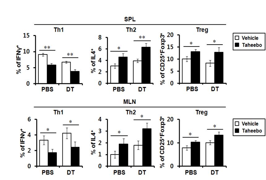 타히보 추출물에 의한 CD4 T 세포 분화에 미치는 수지상세포의 영향