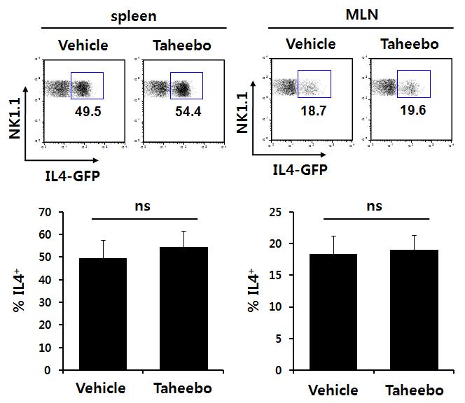 타히보 추출물에 의한 NKT 세포의 IL4 사이토카인 변화