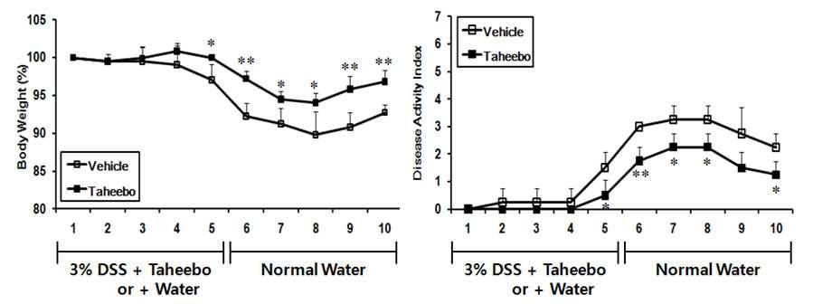 타히보 추출물에 의한 염증성 장질환의 효능 (실험2)