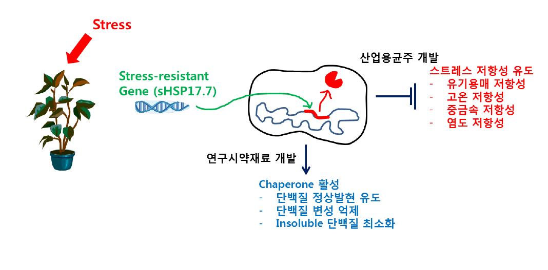 제품 개발 과정 모식도 및 활용 방안