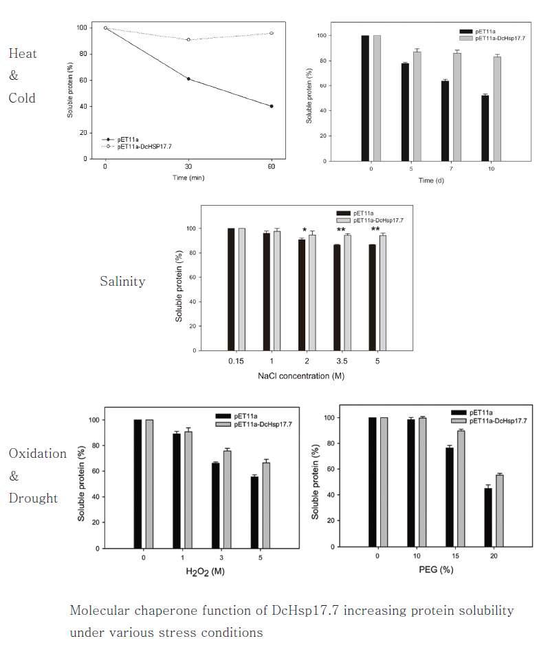 당근 열충격단백질 DcHsp17.7은 다양한 환경스트레스 하에서 단백질의 변성을 막는 분자샤페론(Molecular chaperone)의 기능을 수행한다