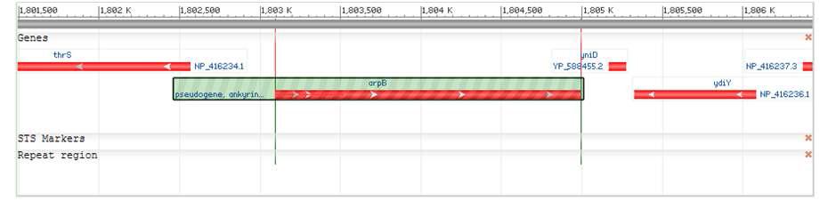 Pseudogene site 구조 맵