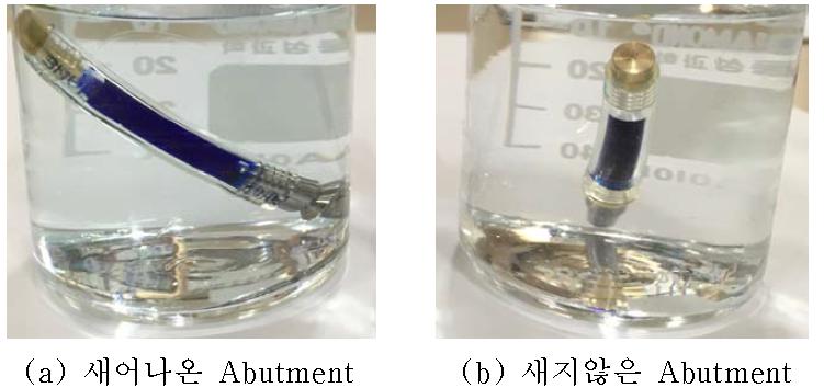 Abutment의 염료 새어나옴 유무