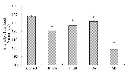 Effects of therapeutic ultrasound at acupoint(GB30) on intensity of Bax mRNA in the hippocampal CA1 in the neuropathic pain model induced by injury of the tibial and sural nerve. Control, neuropathic pain induced and no treatment. N-SA, intactness and 136 mW ultrasound treatment. N-SB , intactness and 252 mW ultrasound treatment. SA, neuropathic pain induced and 136 mW ultrasound treatment. SB, neuropathic pain induced and 252 mW ultrasound treatment. Results are shown as mean±S.E. *, P<0.05, as compared with the corresponding data of control group.