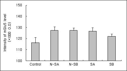 Effects of therapeutic ultrasound at acupoint(GB30) on intensity of mGluR5 mRNA in the hippocampal CA1 in the neuropathic pain model induced by injury of the tibial and sural nerve. Control, neuropathic pain induced and no treatment. N-SA, intactness and 136 mW ultrasound treatment. N-SB , intactness and 252 mW ultrasound treatment. SA, neuropathic pain induced and 136 mW ultrasound treatment. SB, neuropathic pain induced and 252 mW ultrasound treatment. Results are shown as mean±S.E.