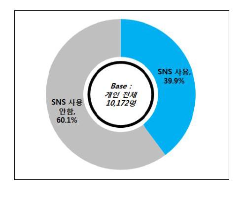 개인 소셜네트워크서비스(SNS) 사용 비율