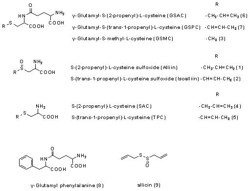 Chemical structures of organosulfur compounds in garlic bulbs.
