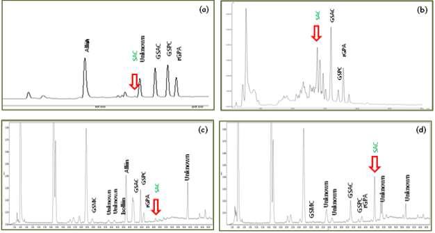 Chromatograms of S-allyl-cysteine in raw garlic (a), garlic extract concentrate by HPLC/UV method with Water extraction (b), raw garlic (c) and garlic extract concentrate (d) by HPLC/UV method (Densyl chloride derivative method).