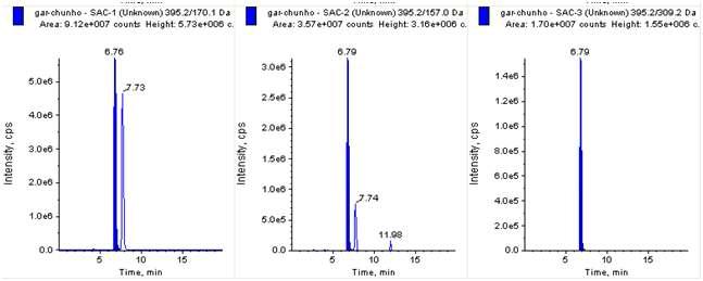 Ion reconstituted chromatograms obtained for the analysis of SAC in garlic extract concentrate by LC–MS/MS in MRM mode.