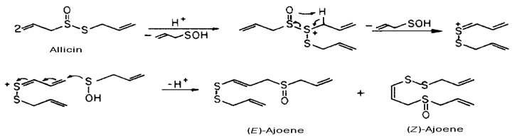 Mechanism for formation of ajoene from aliicin
