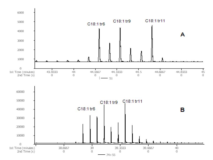 Separation of TFA of C18:1 fatty acids. A : GC×GC-FID chromatogram (100ppm) B : GC×GC-TOFMS chromatogram (10ppm)