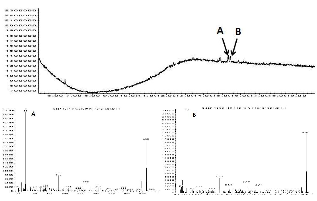 GC/MSD chromatograms and mass spectrums of fractional urushiol isomer peak by HPLC fraction collector. A: C15:2 urushiol isomer mass spectrum, B: C15:2 mass spectrum.