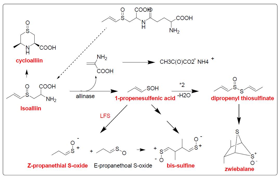 Reaction of isoalliin-derived compounds.