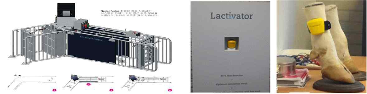 Nedap사 모돈 자동 사료급이 시스템 및 가축 발정 감지 시스템