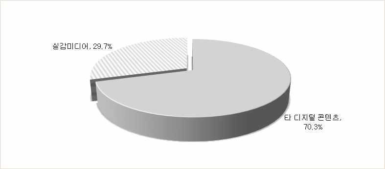 사업분야(실감미디어 관련)