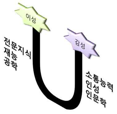 U자형 융합 인재상