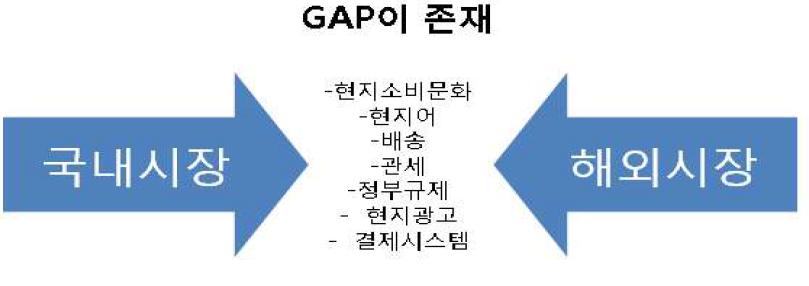 국내 온라인쇼핑 산업이 해외진출 시 발생하는 GAP