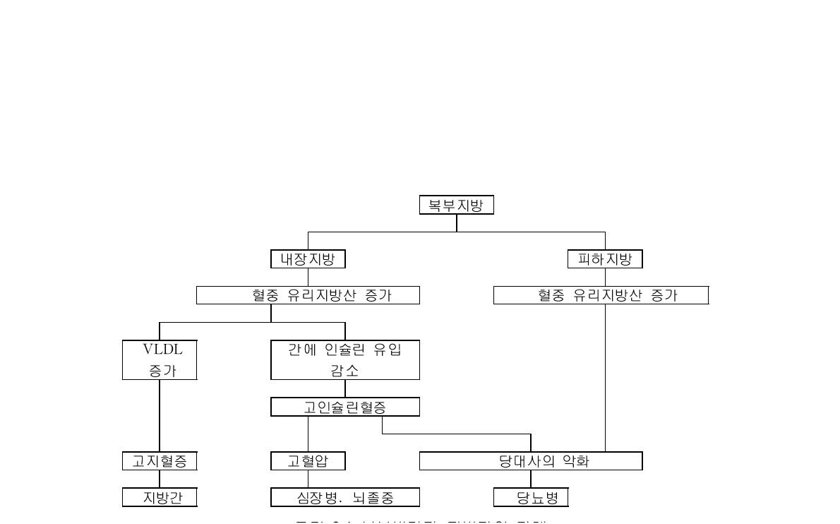 복부비만과 질병과의 관계(Relationship between abdominal obesity and morbidity)